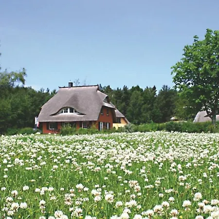 Holiday home Ferienhaeuser Fischland *