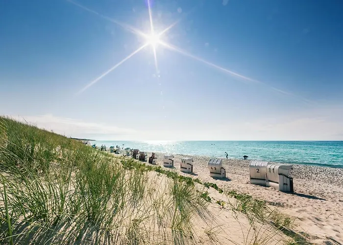 Ferienhaeuser Fischland 펜션 *