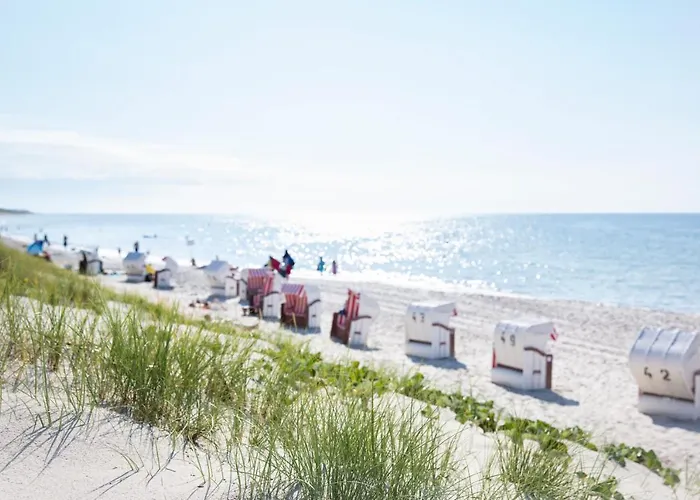 Ferienhaeuser Fischland *